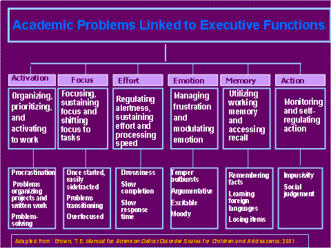 Executive Functions Source 